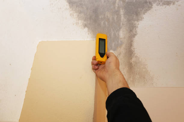 Best Asbestos and Lead Testing During Mold Inspection  in Catawba, SC