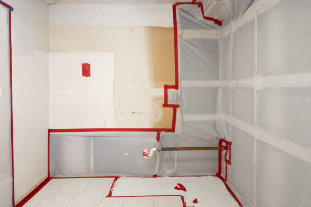 Best Attic Mold Removal  in Catawba, SC